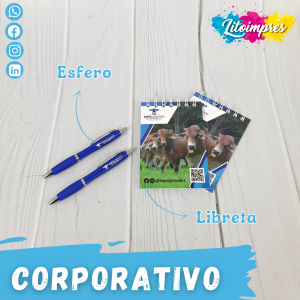 Kit corporativo ideas