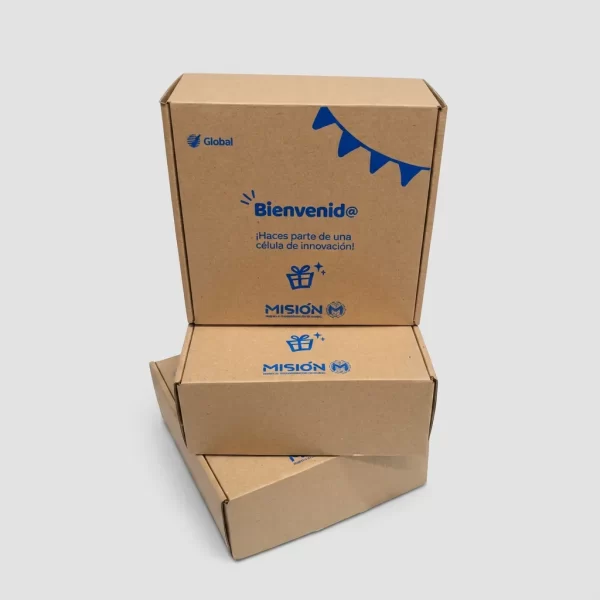 Caja-cofre-global- Cajas en cartón