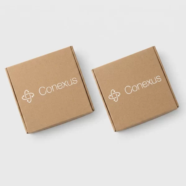 Caja_tipo cofre-conexus Cajas en cartón
